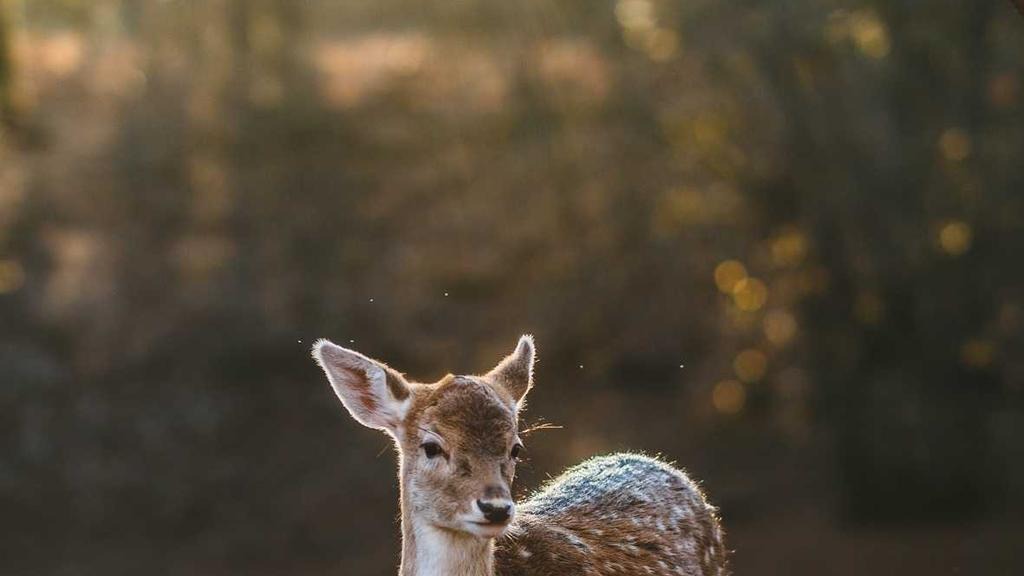 고액자산가 해외이주 절세 방법