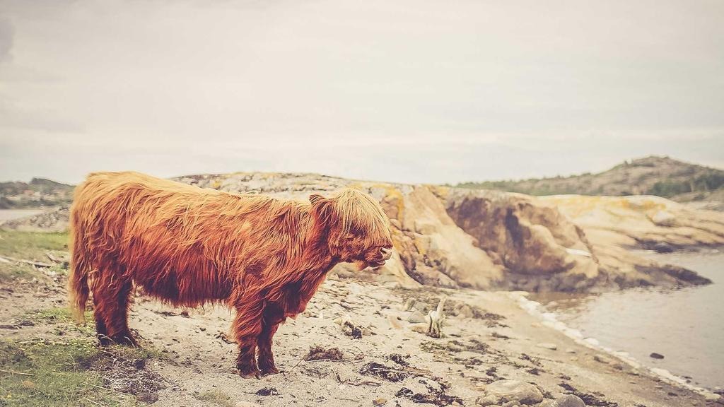 환율 전망 2026 하반기 달러