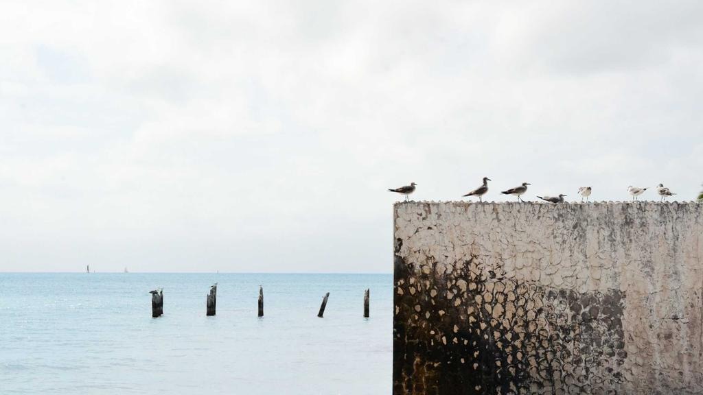 자산가 해외이주 세금 절세 방법