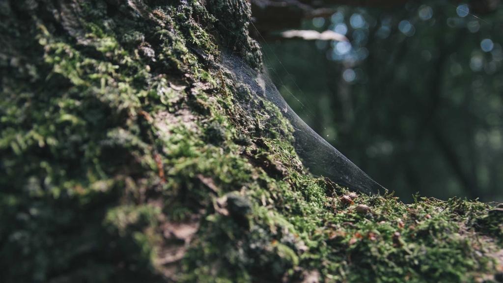 금융소득 종합과세 기준 금액