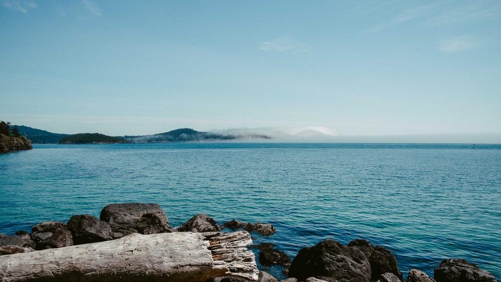 다주택자 양도세 중과 유예 기간