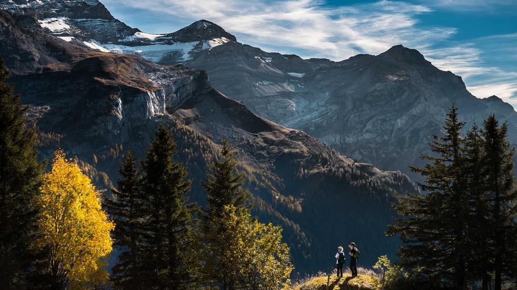 미국 관세 인상 수혜주 추천 2026