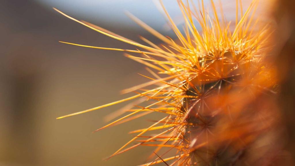 로봇 에너지 ETF 추천 2026