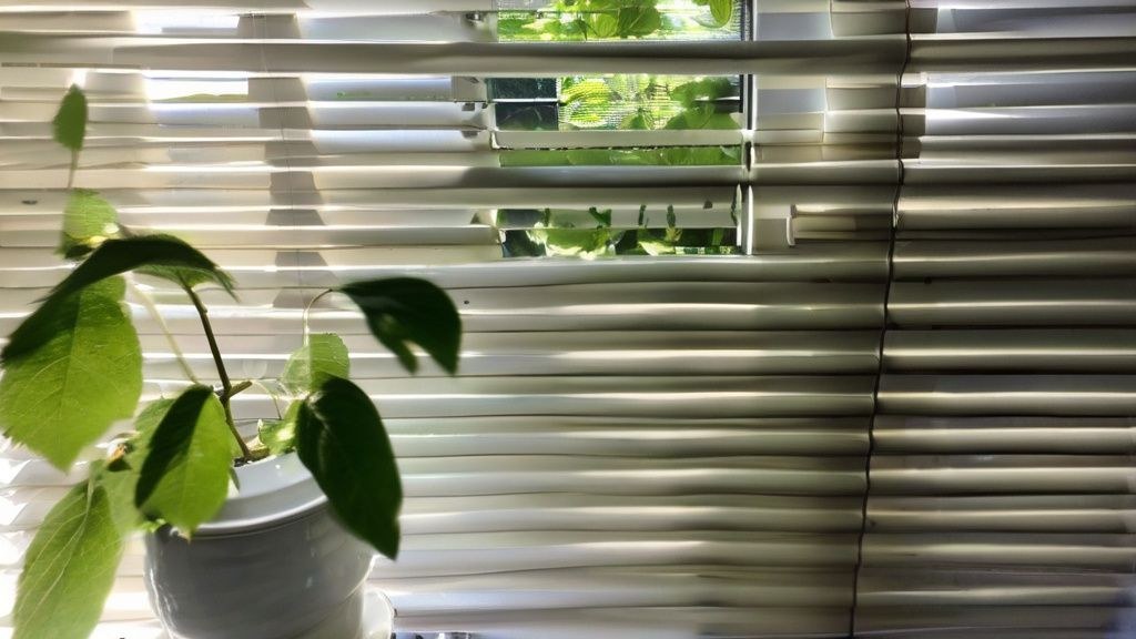 하루를 바꾸는 작은 습관 5가지, 오늘부터 시작해요!